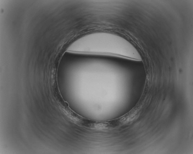 X0000087670462200705040730