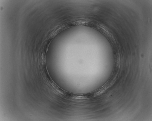 X0000087670467200705040730