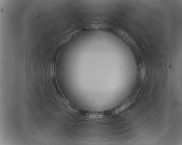 X0000087670471200705040730