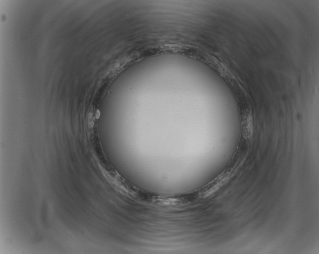 X0000087670472200705040730