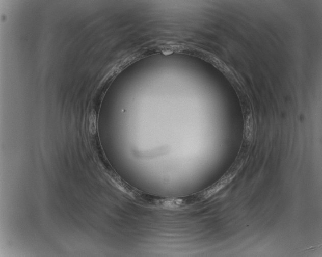 X0000087670474200705040730