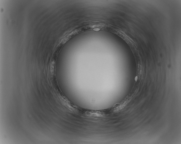 X0000087670475200705040730