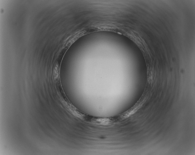 X0000087670478200705040730