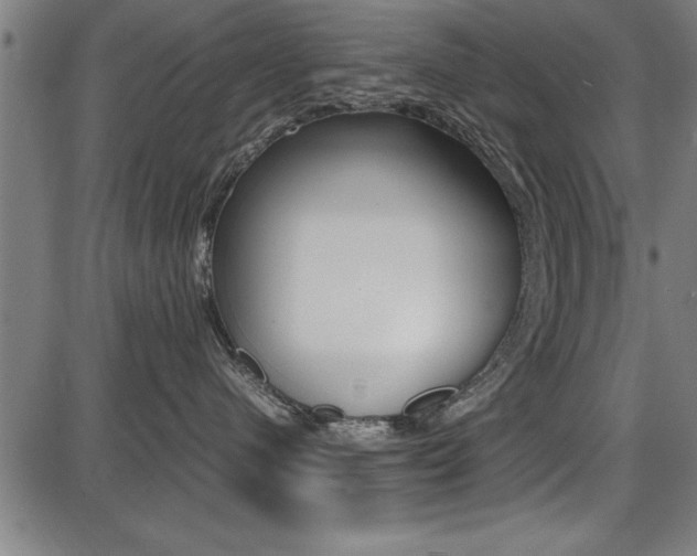 X0000087670480200705040730