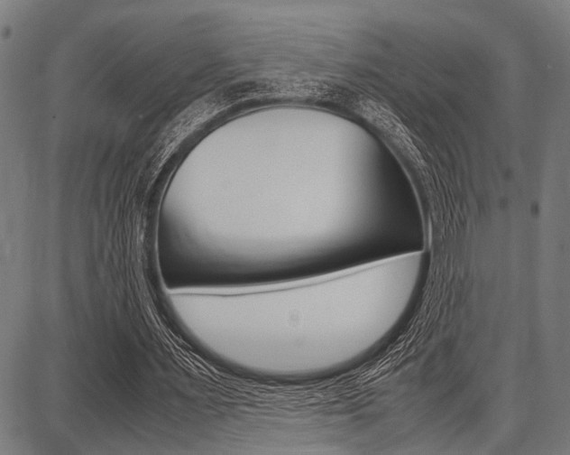 X0000087670483200705040729