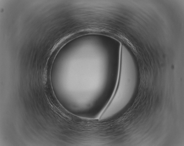 X0000087670484200705040729