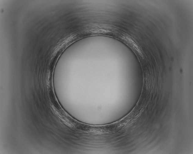 X0000087670490200705040729