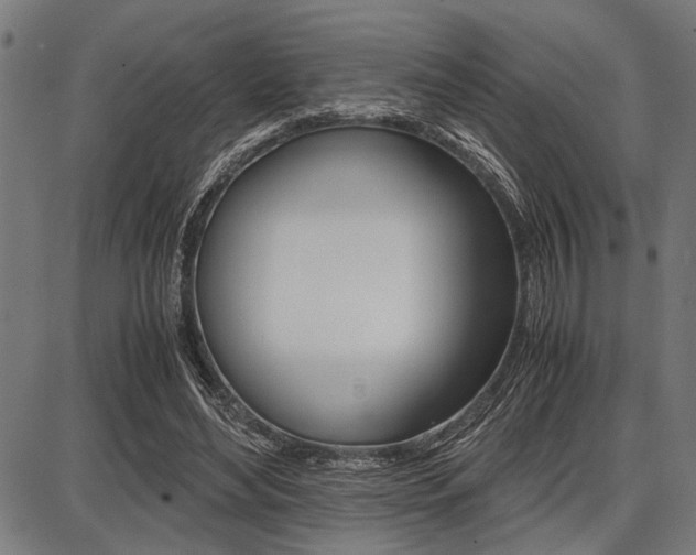 X0000087670492200705040729