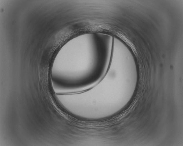 X0000087670493200705040729