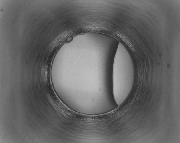 X0000087670494200705040729