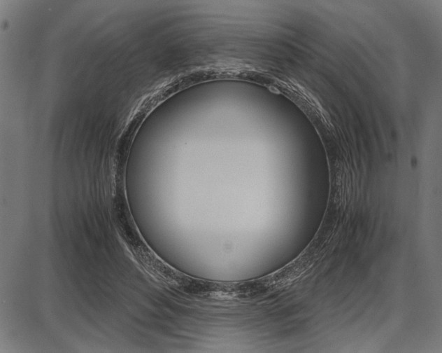 X0000087670496200705040729