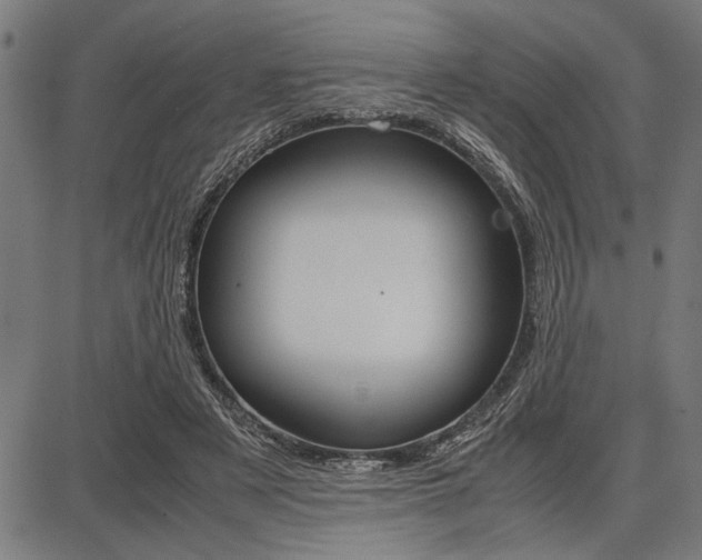 X0000087670497200705040729