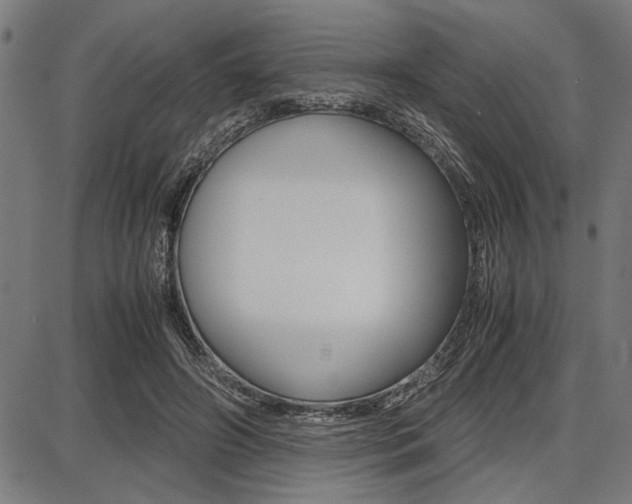 X0000087670498200705040729