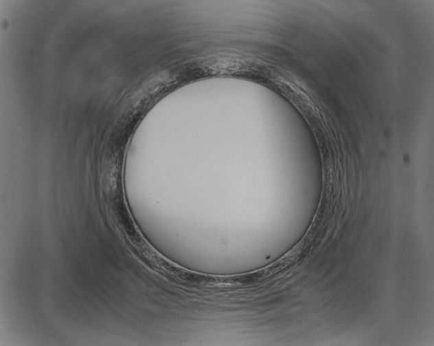 X0000087670499200705040729