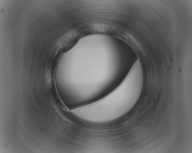 X0000087670500200705040729