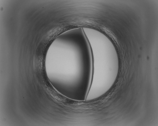 X0000087670501200705040729
