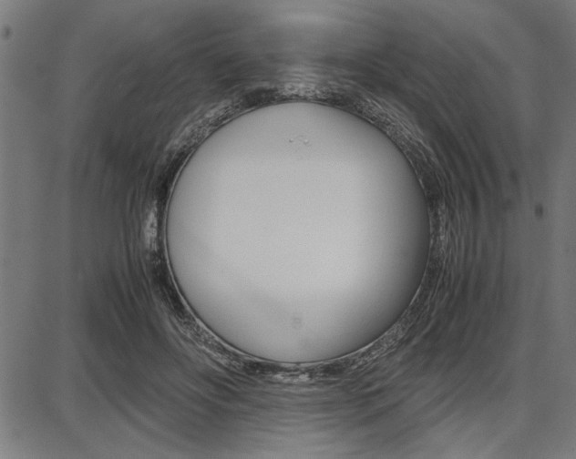X0000087670502200705040729