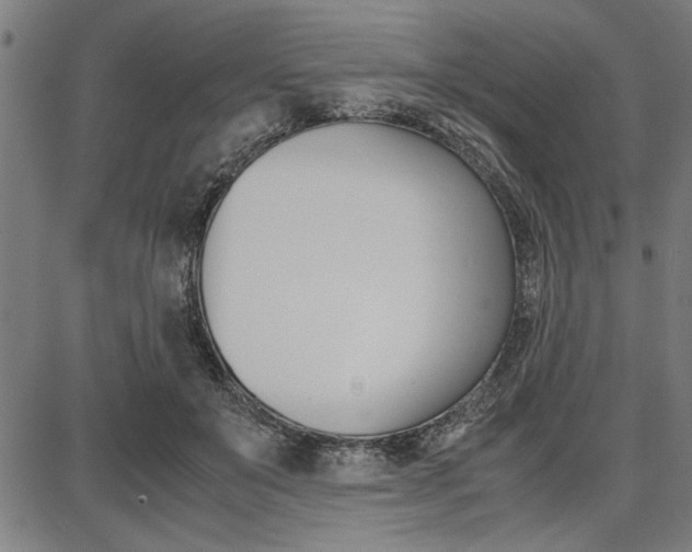 X0000087670503200705040729