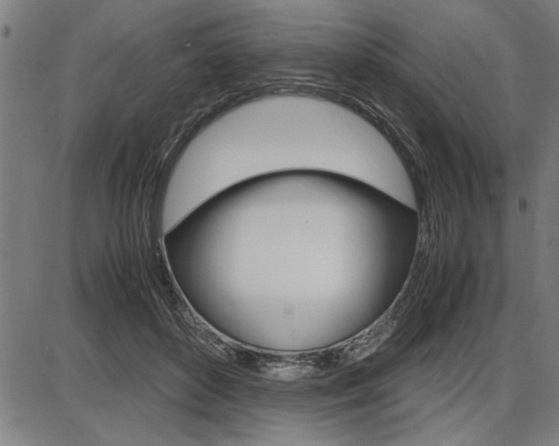 X0000087670504200705040729