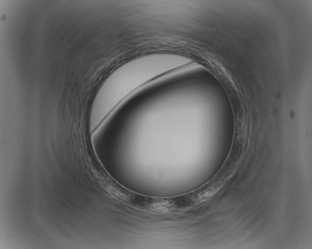 X0000087670505200705040729