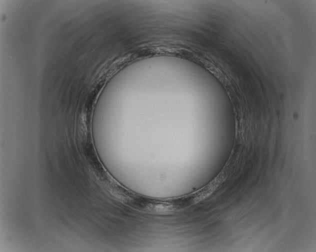 X0000087670506200705040729