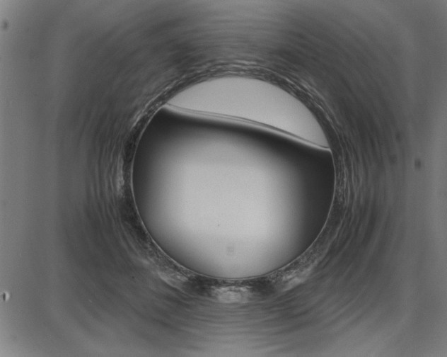 X0000087670508200705040729