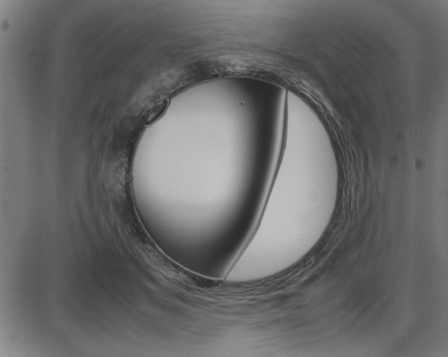 X0000087670509200705040729