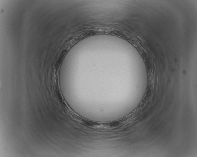 X0000087670511200705040729