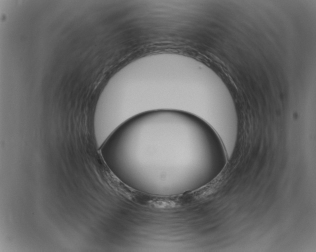 X0000087670512200705040729