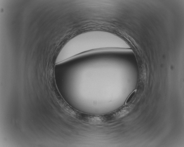 X0000087670513200705040729