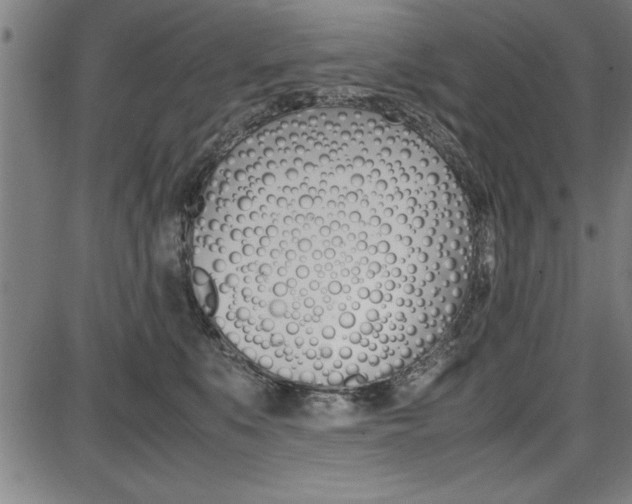 X0000087670519200705040728