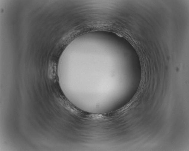 X0000087670528200705040728