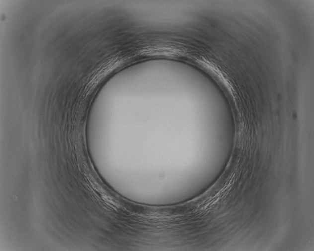 X0000087670529200705040728