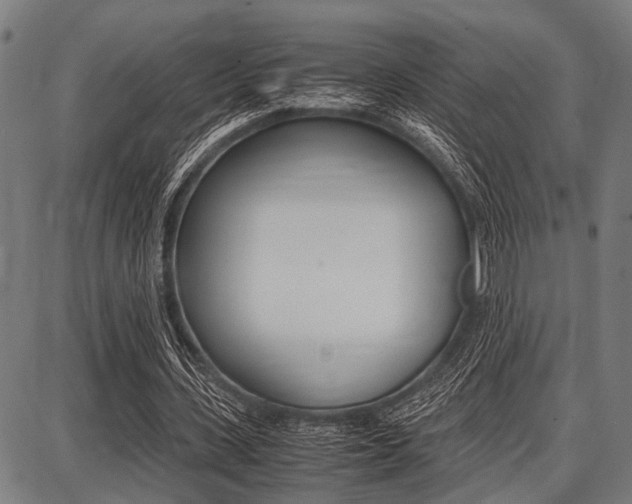 X0000087670531200705040728