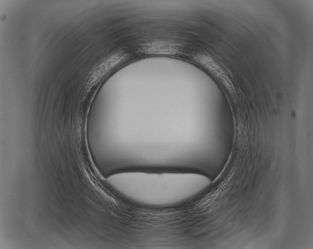 X0000087670533200705040728
