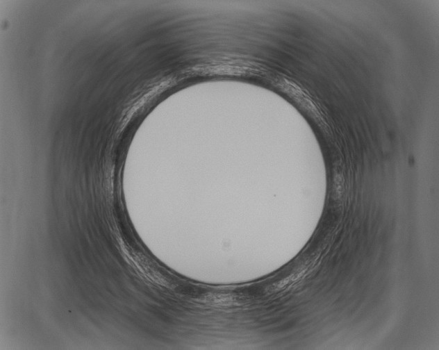 X0000087670534200705040728