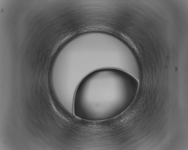 X0000087670538200705040728