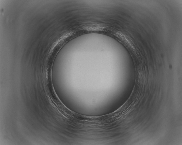 X0000087670539200705040728