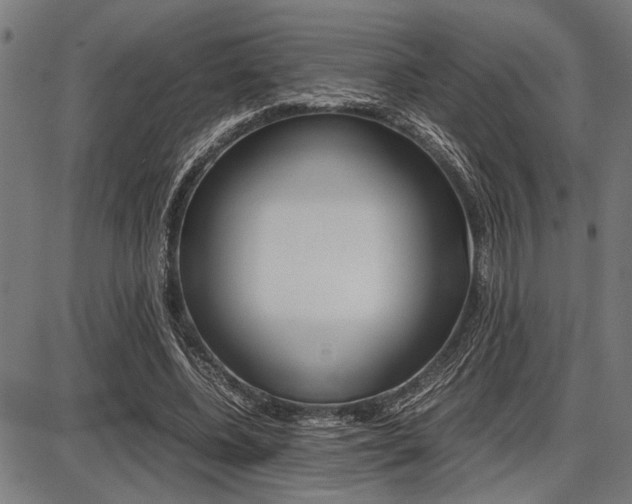 X0000087670540200705040728