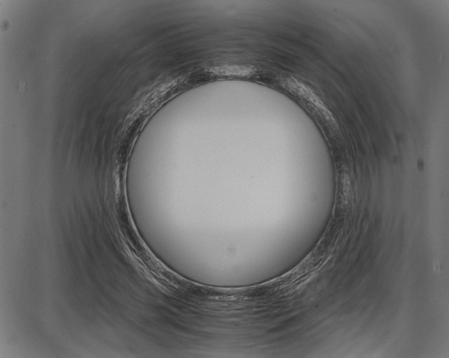 X0000087670541200705040728