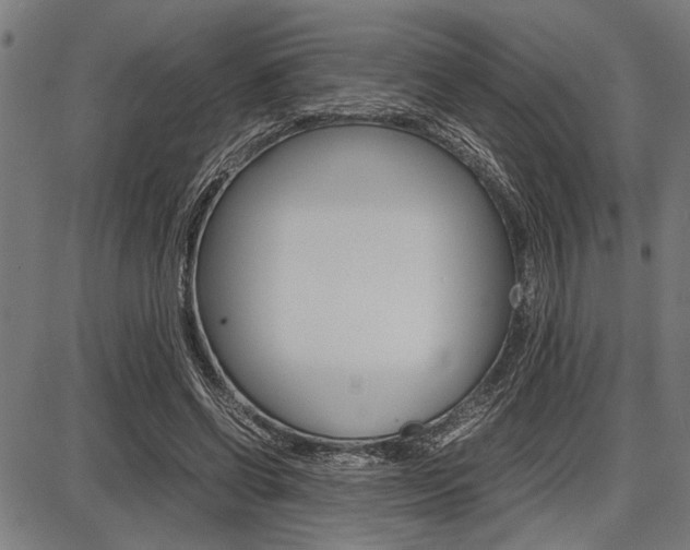 X0000087670542200705040728