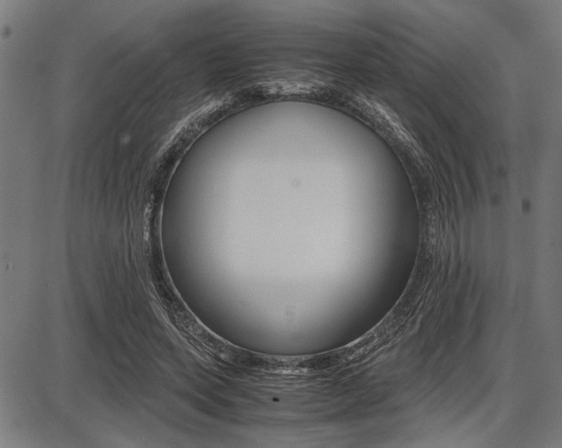 X0000087670543200705040728