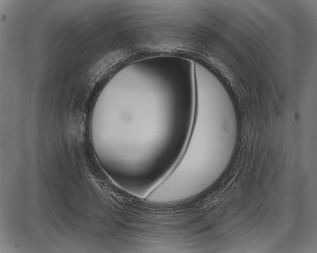 X0000087670544200705040728
