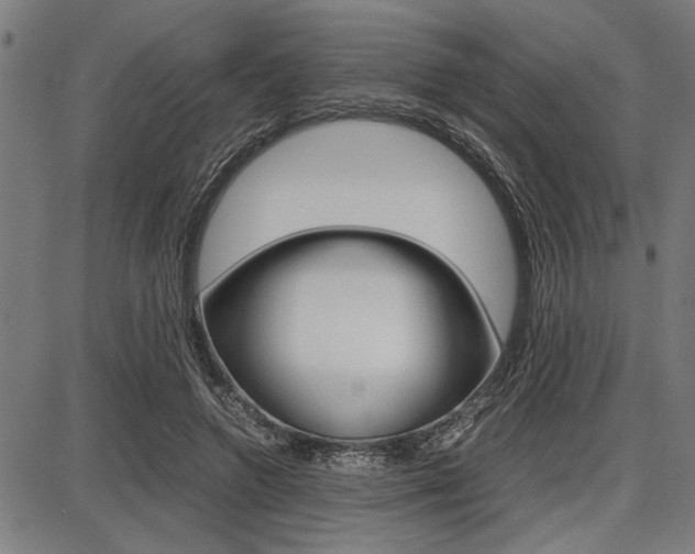 X0000087670546200705040728