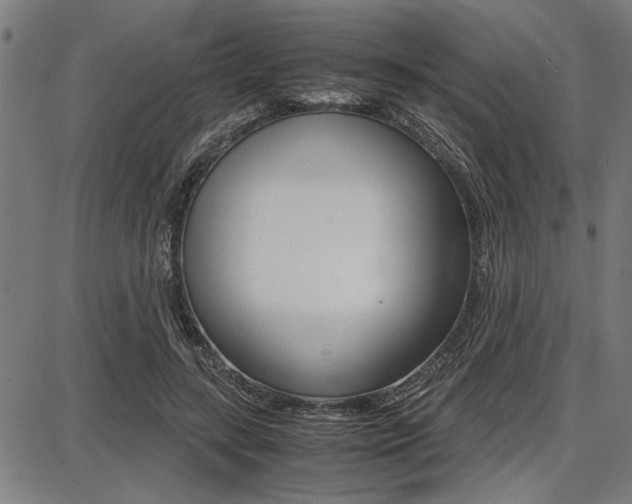 X0000087670547200705040728