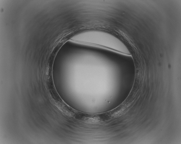 X0000087670548200705040728