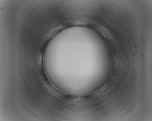X0000087670550200705040728