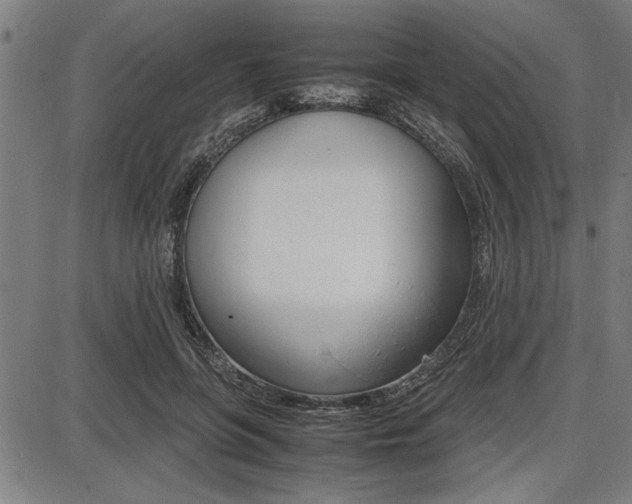 X0000087670551200705040728