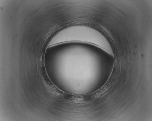 X0000087670552200705040728