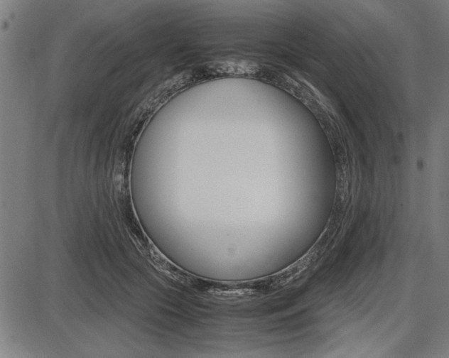 X0000087670553200705040728